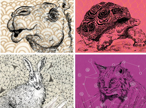 animals and patterns