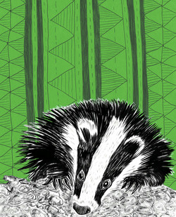 Badger