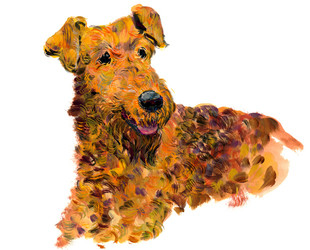 Airedale Terrier