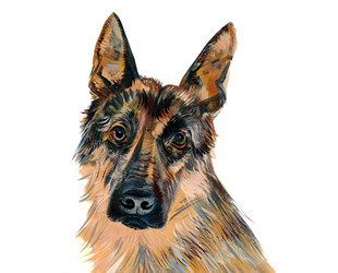 German Shepherd