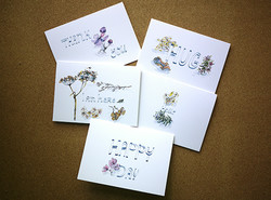 Two Sets of Greeting Cards