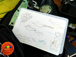 Drawing while Scuba Diving