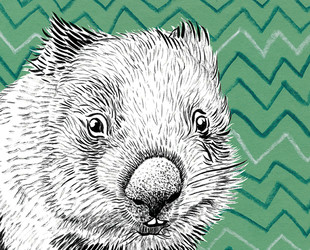 Wombat